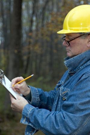 Surveyor Performing Tree Survey